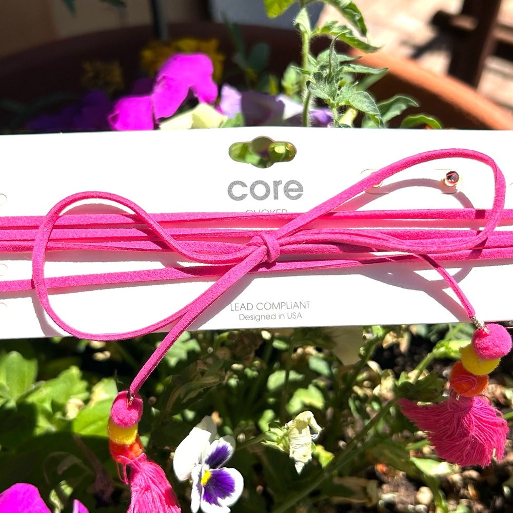 Pink Suede Choker NWT